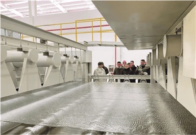 Guizhou Qianbo Yongtai's First Photovoltaic Glass Born